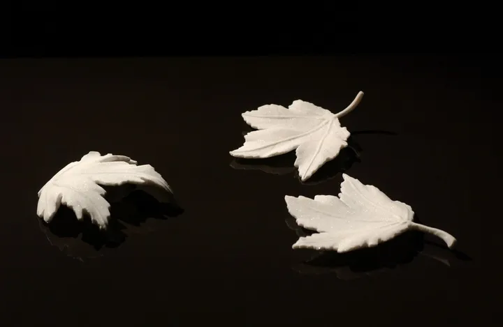 Still life, œuvre de Andrej Mitevski