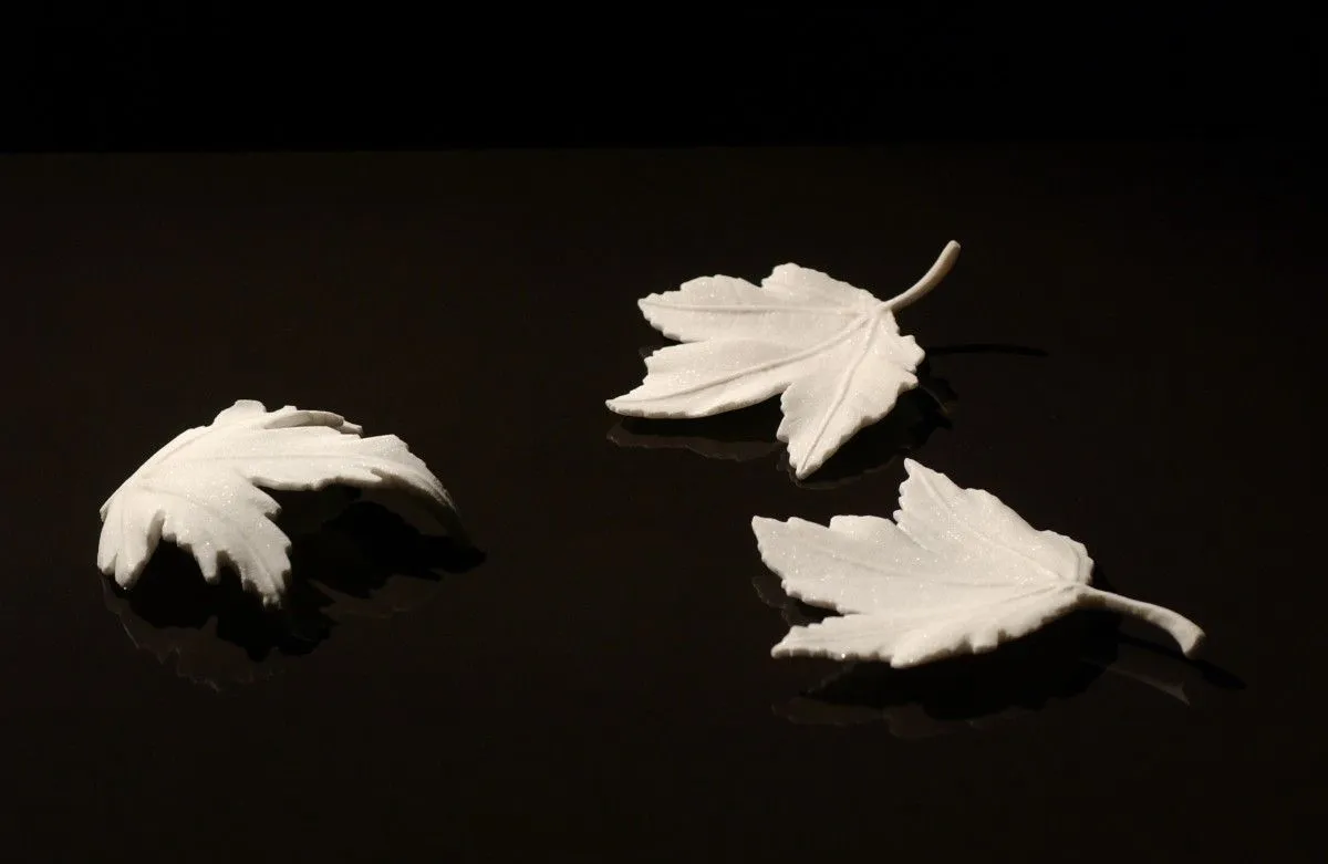 Still life, œuvre de Andrej Mitevski