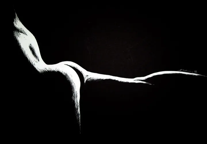 Nue à l'ombre, artwork by Farid Mahiedine