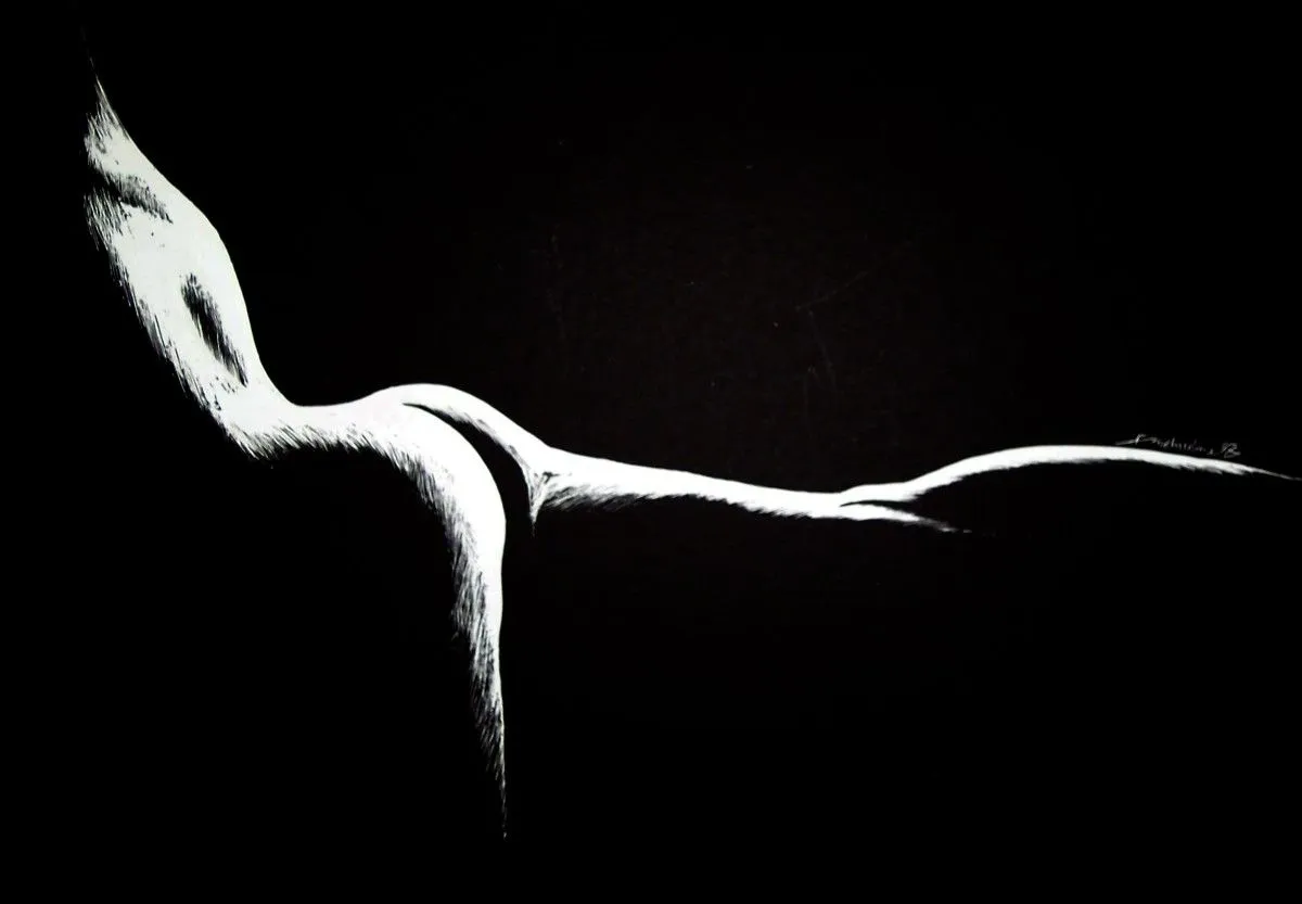 Nue à l'ombre, artwork by Farid Mahiedine