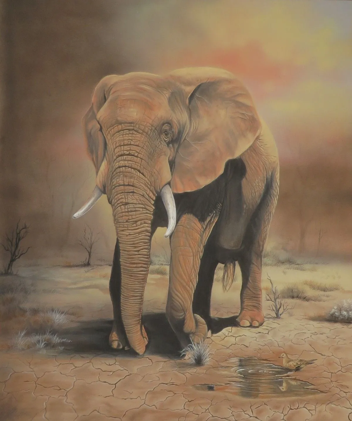 Umber Elephant, œuvre de GIDEON GELDENHUYS