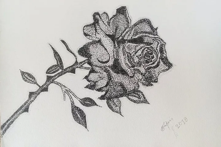black rose, artwork by Marini Tsambi