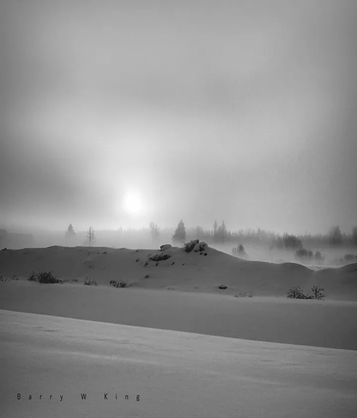 Quiet, œuvre de barry king