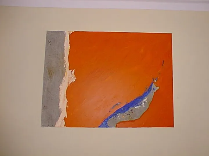 P.A.C.A, artwork by guenael revel
