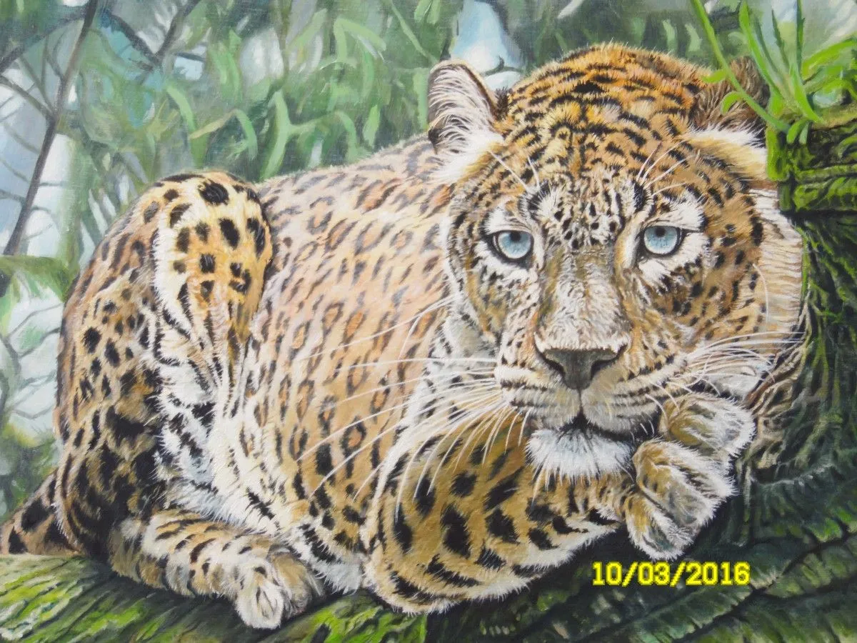 Leopard, œuvre de Pierre-Yves Blasco