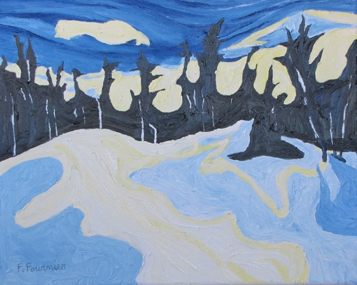 Moon Shadow, œuvre de Francois Fournier