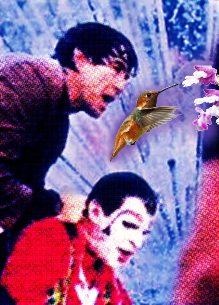 (The Hummingbird), œuvre de Agnes Fodor