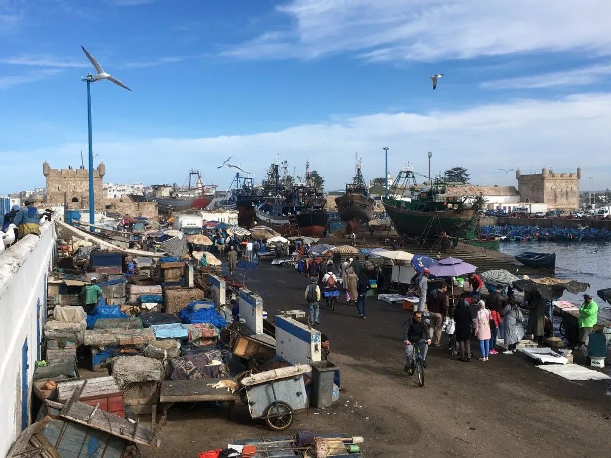 Essaouira marché aux poissons, artwork by Patrick Tubaro