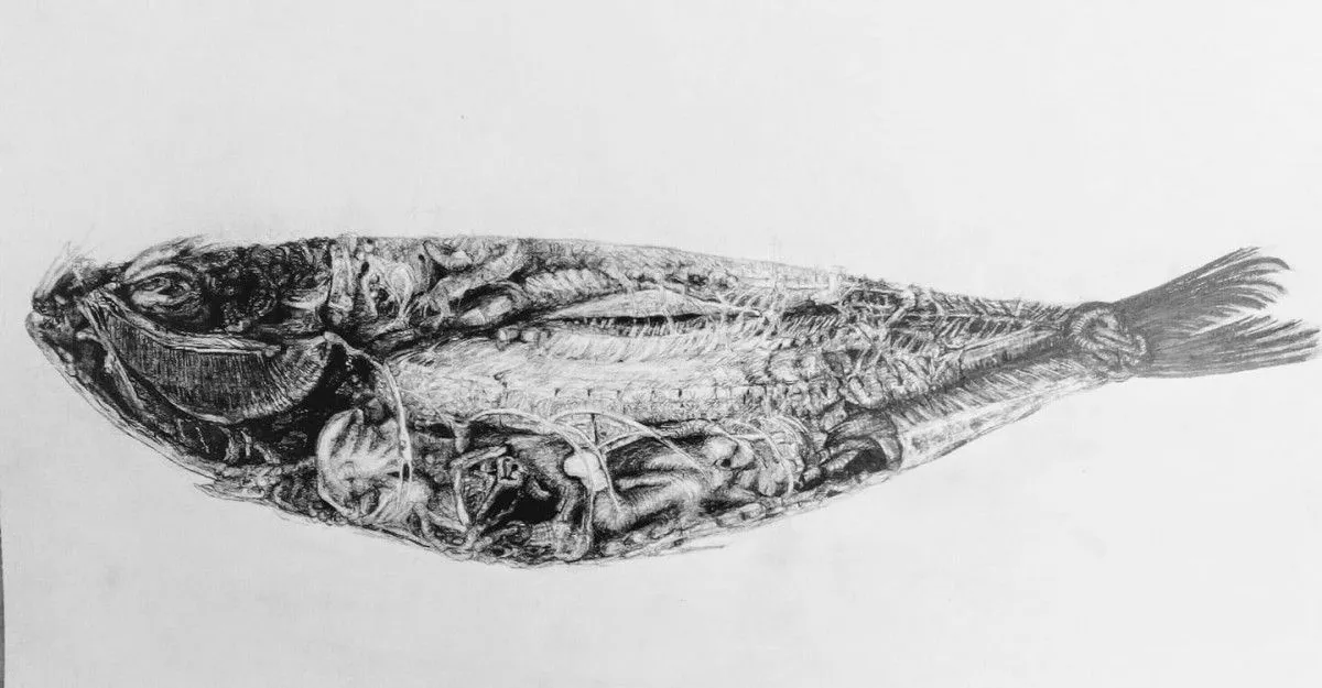 VISCERAL, artwork by sandra pissarra
