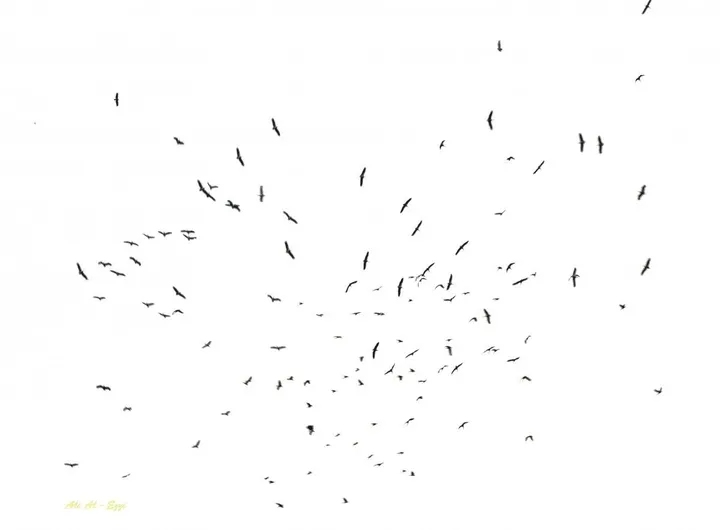 Birds, artwork by Ali AlEzzi