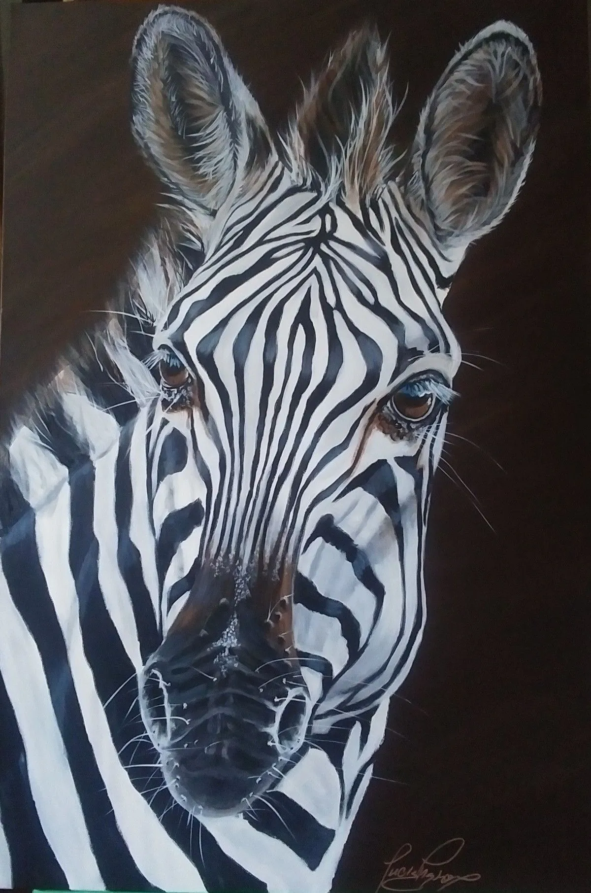 Grevys Zebra, œuvre de Lucie Theroux