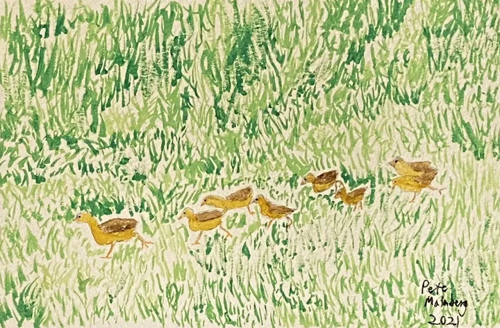 Feathered Sprinters, artwork by Pete Malmberg