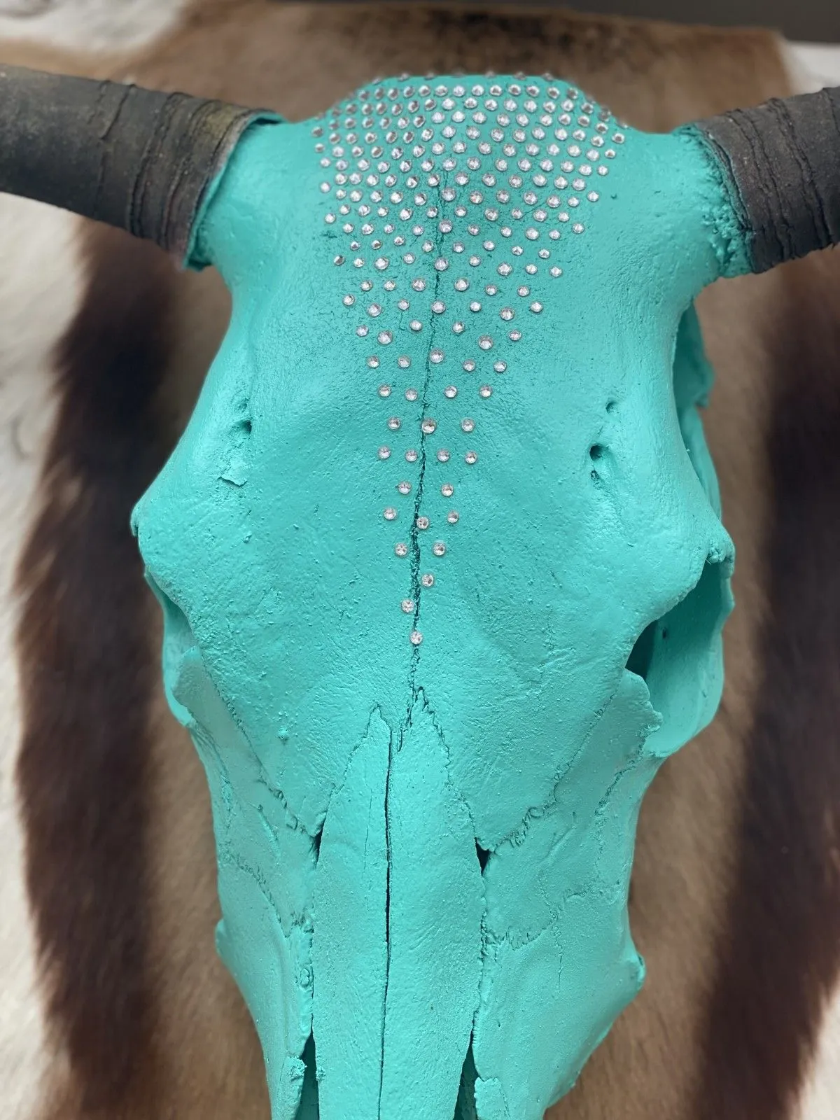 Tiffany Blue Moo, œuvre de Tara Vaccaro