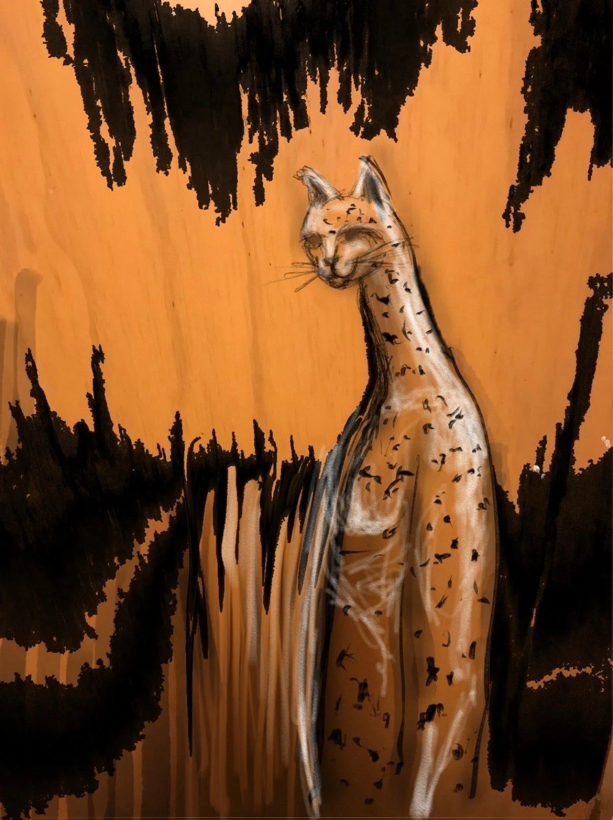cat, œuvre de Fausto Cantu