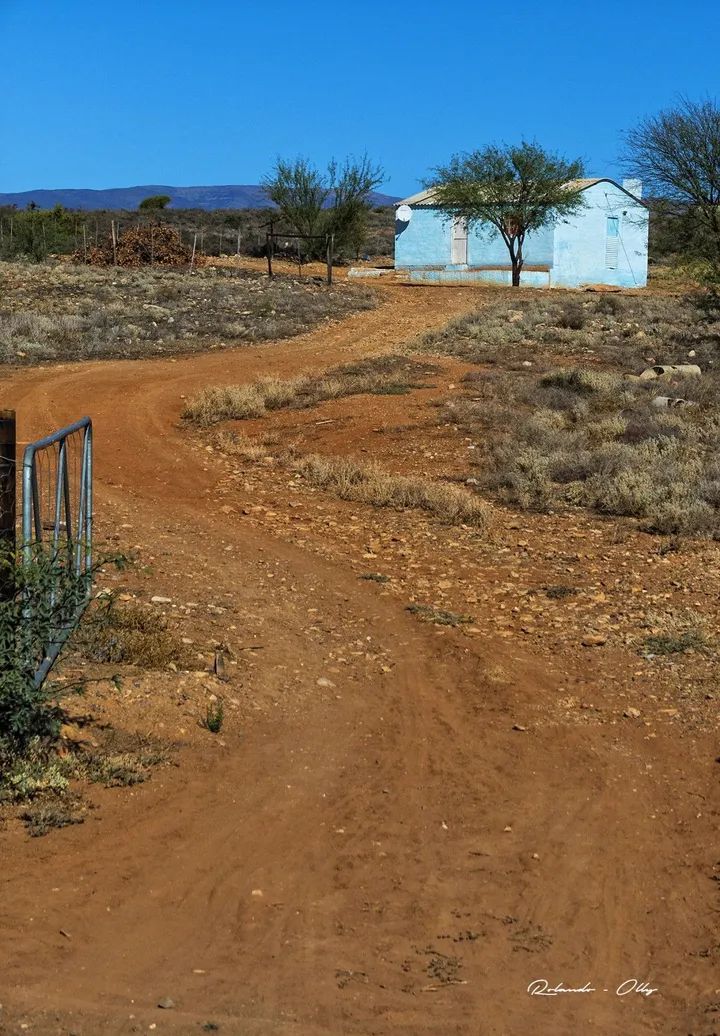 Road to blue house, œuvre de rolando olly