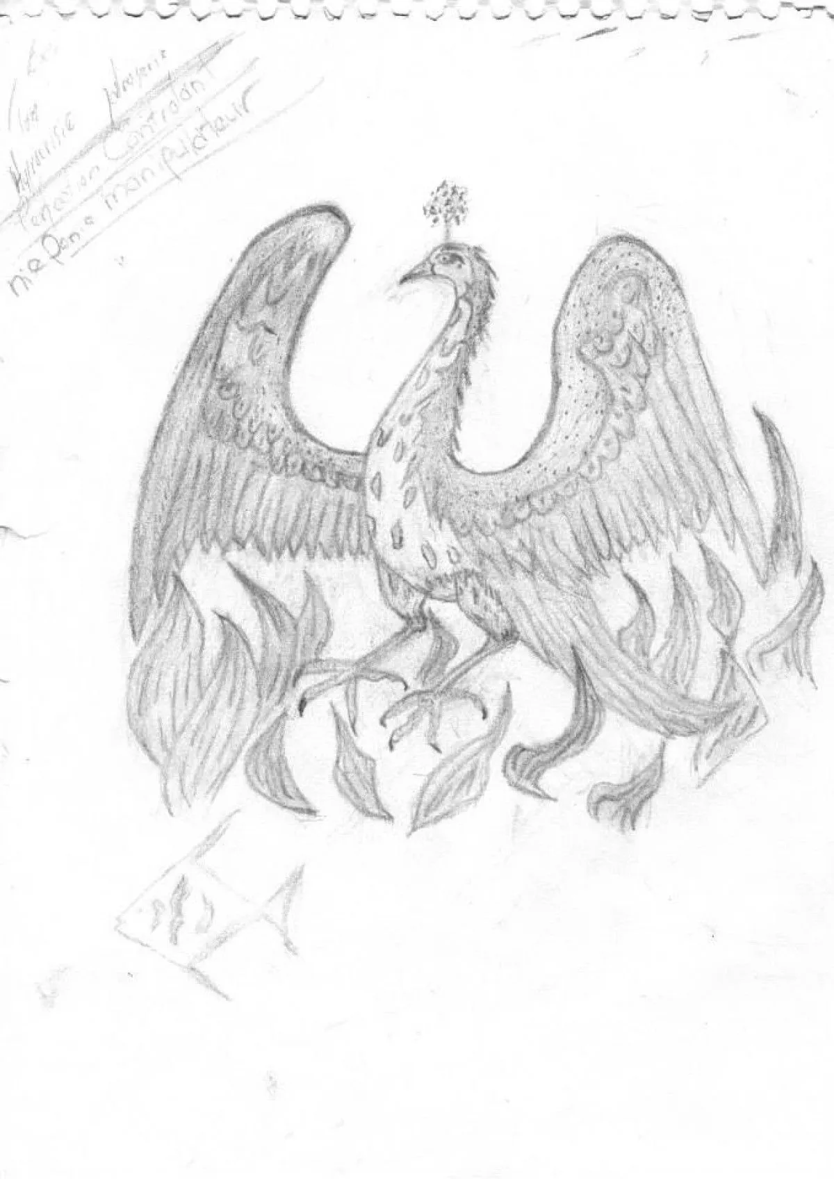 PHÉNIX, artwork by Denyse Jubinville