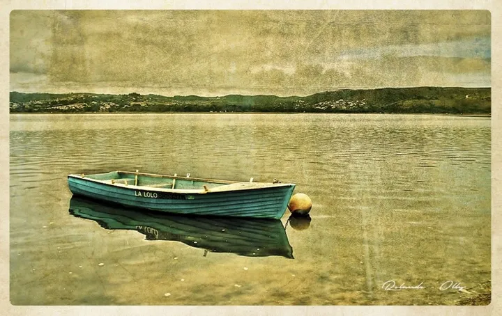 la lolo, œuvre de rolando olly