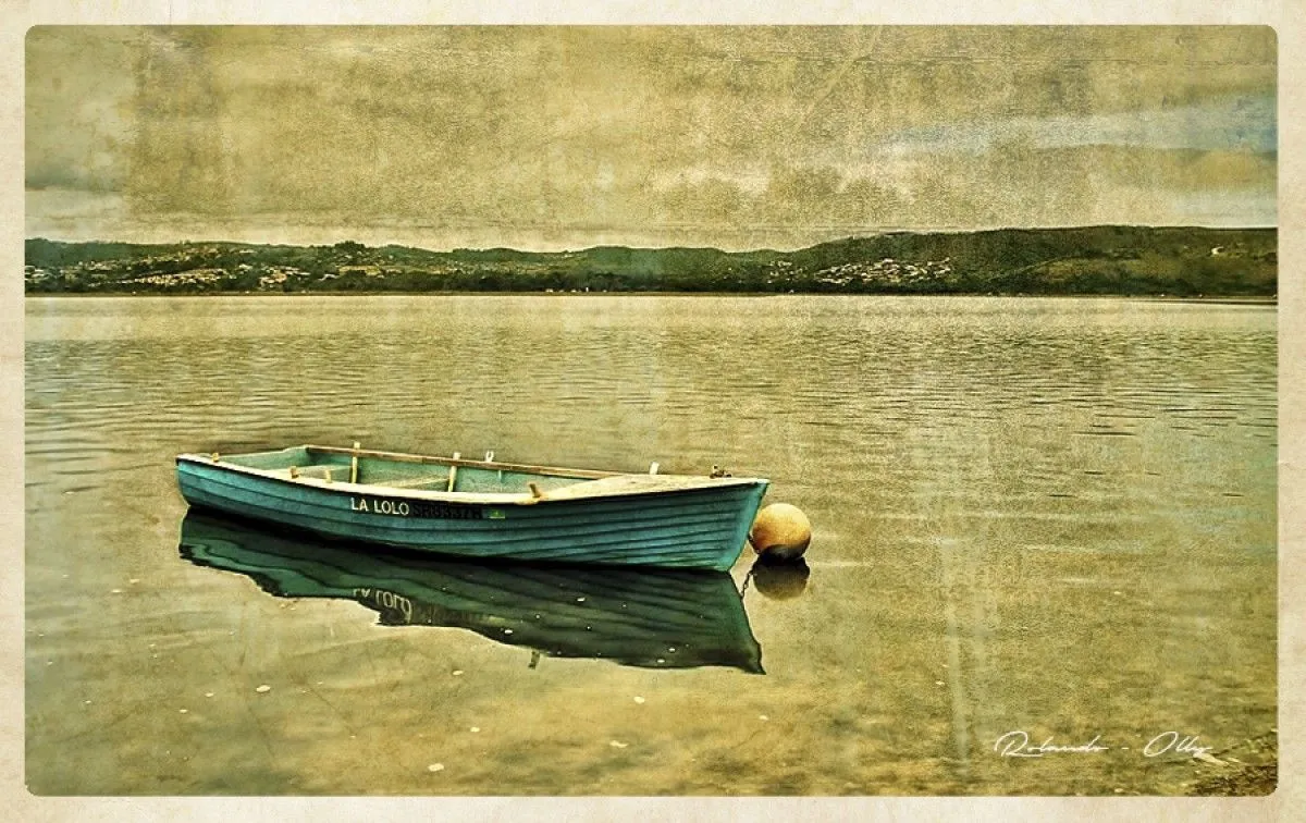 la lolo, artwork by rolando olly
