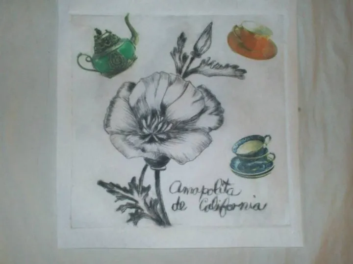CALIFORNIA POPPY, œuvre de Marta Aragón