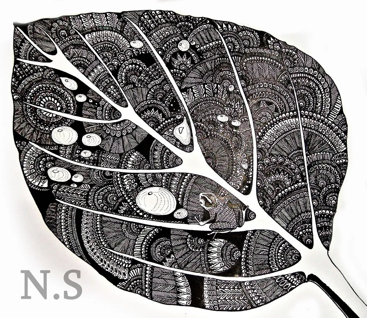 Frog, artwork by Nato Sajaia