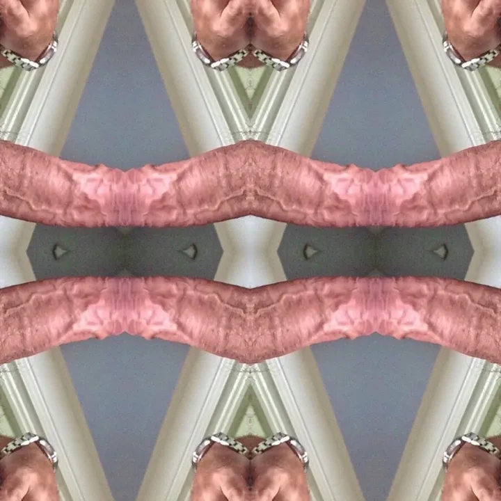 Castor III, œuvre de PO Mello