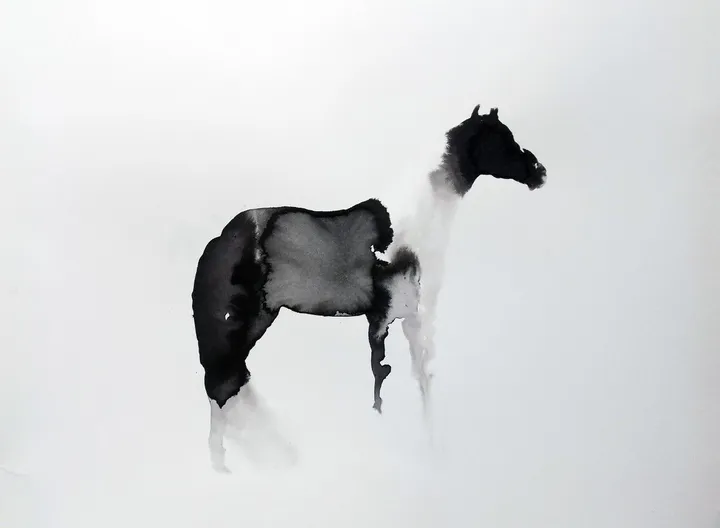 Black&white, artwork by marija colic