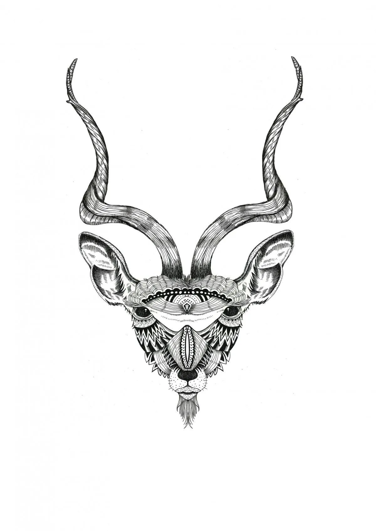 Kudu, œuvre de Nastasha Minyon Sale