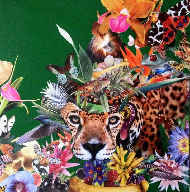 Paraty - Hibrida I / Jaguar, œuvre de Antovani Di
