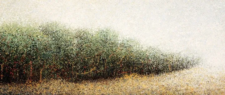 Safed Dhoop, œuvre de Aparna Bidasaria