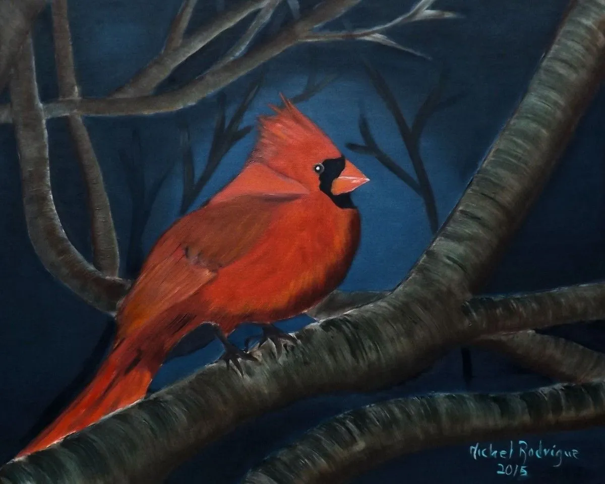 Le cardinal rouge, œuvre de MICHEL JOSEPH RODRIGUE