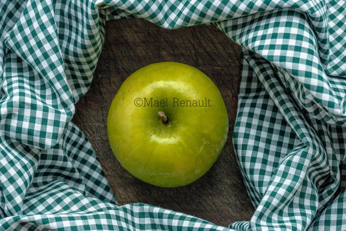 Green apple, artwork by Maël Renault