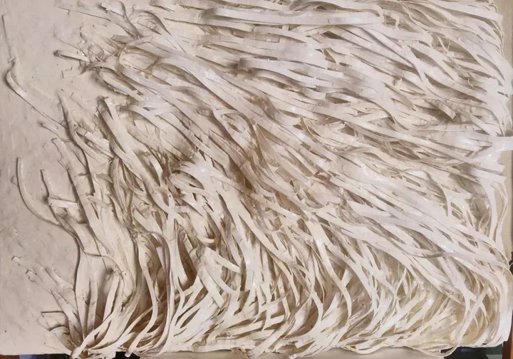 algas, œuvre de beatriz cárcamo