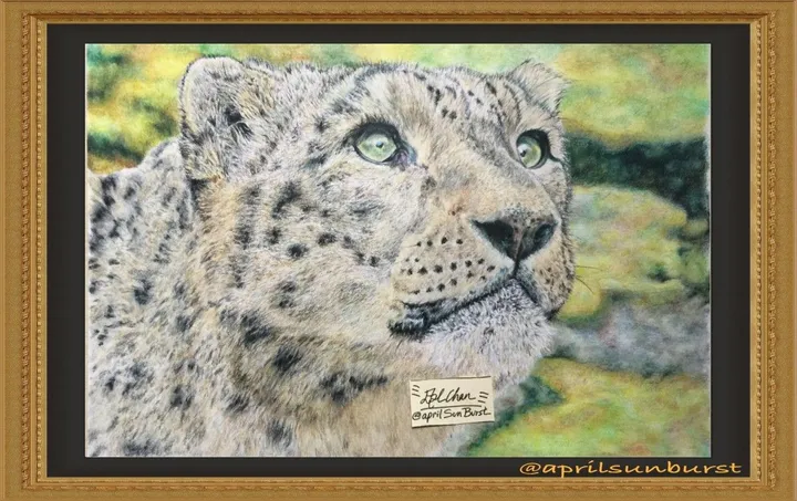 Snow Leopard, artwork by april chan