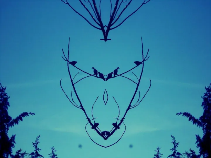 atrapa sueños, artwork by Joao Dias