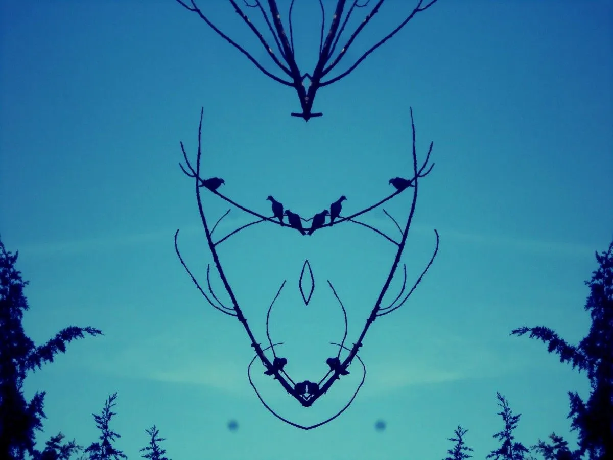 atrapa sueños, artwork by Joao Dias