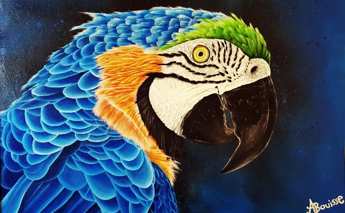 Brazilian Macaw, artwork by Achraf Bouisse