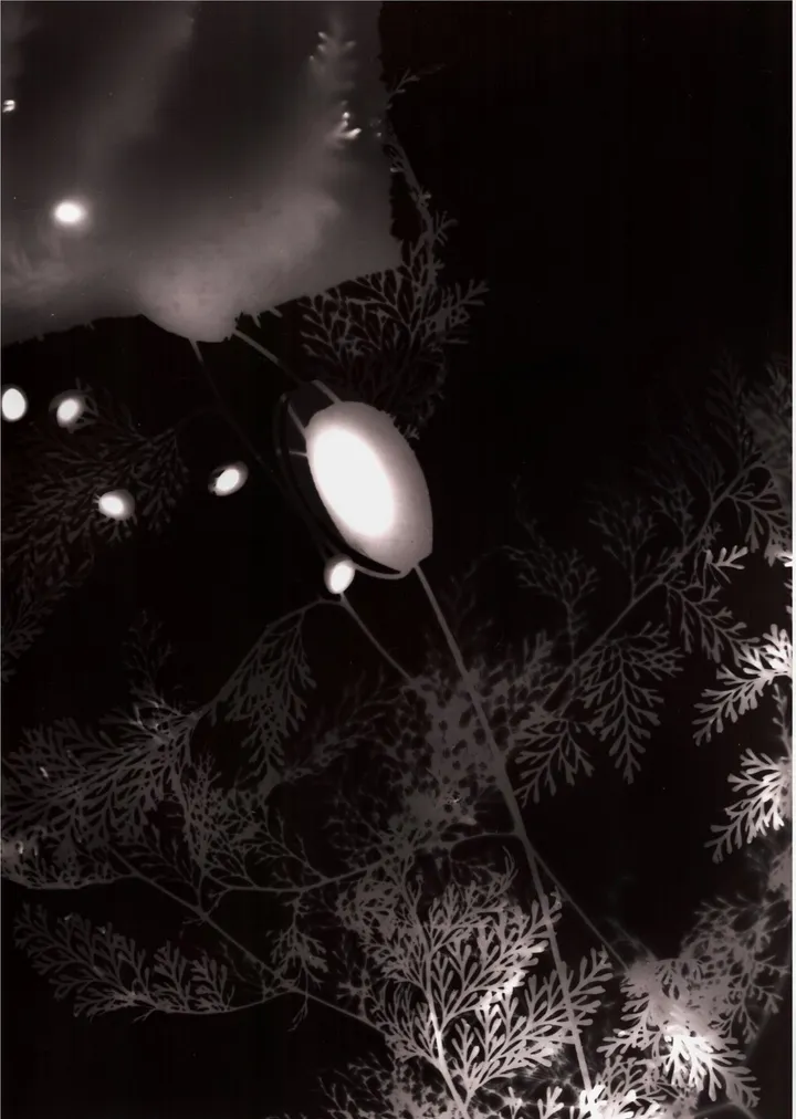 So Quiet, artwork by Sarah Agathe SALOMON
