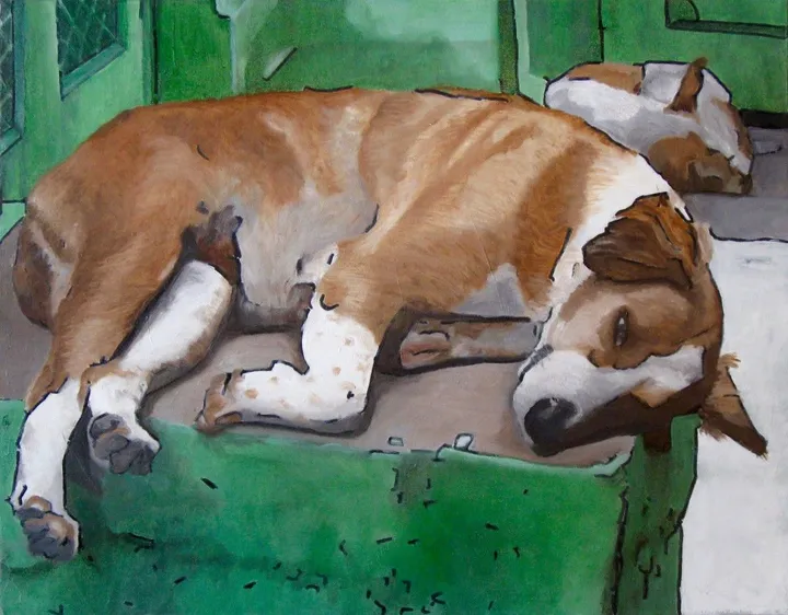 Street dog Jodhpur, œuvre de Philippe Faucher
