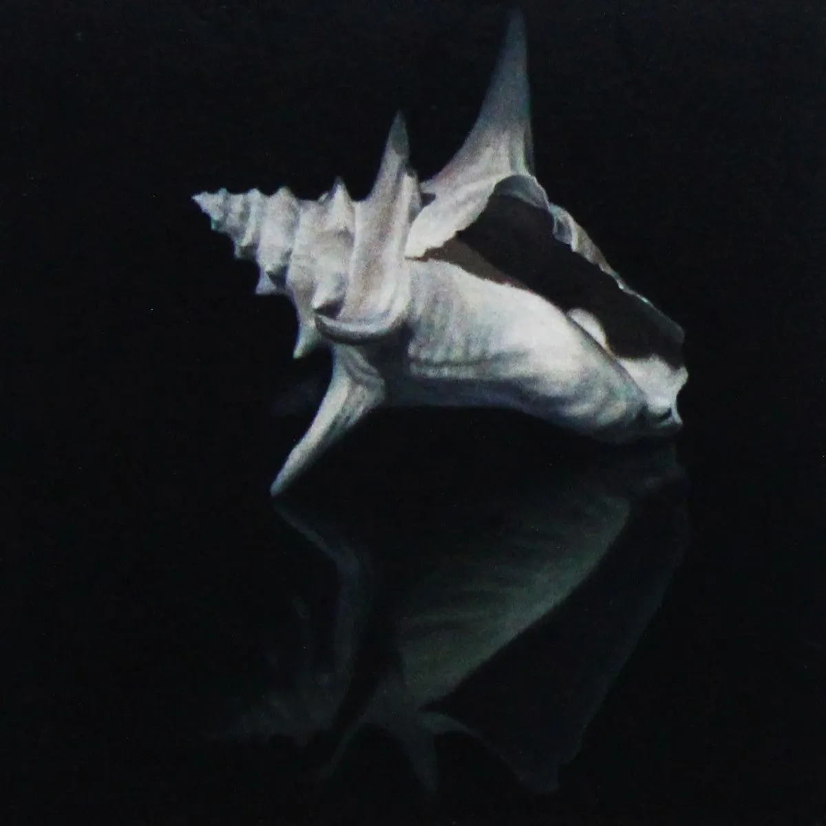Recall of the Ocean, œuvre de James Zhao