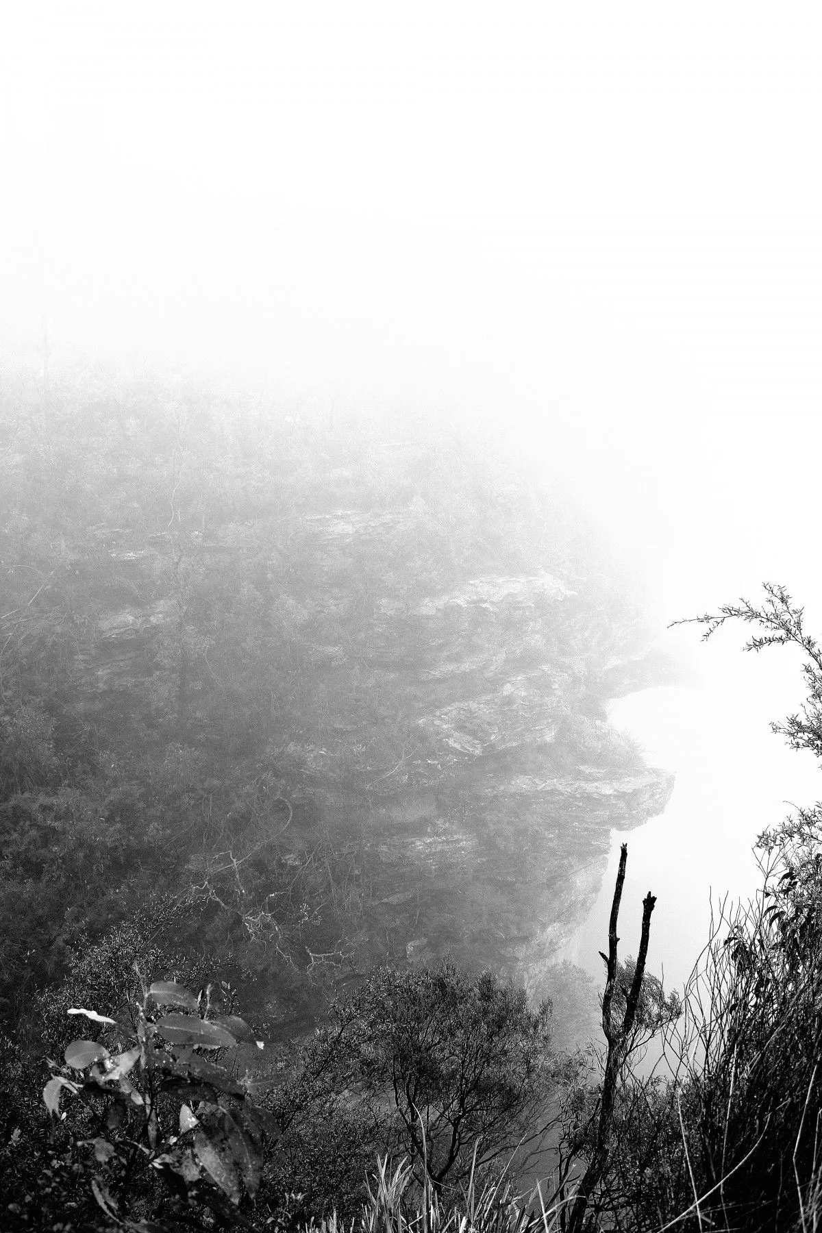 IN the mist, œuvre de Greg Sandoval