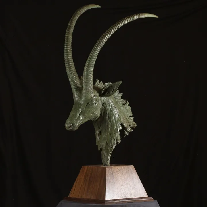 Sable Antelope Bust, œuvre de Willem Botha