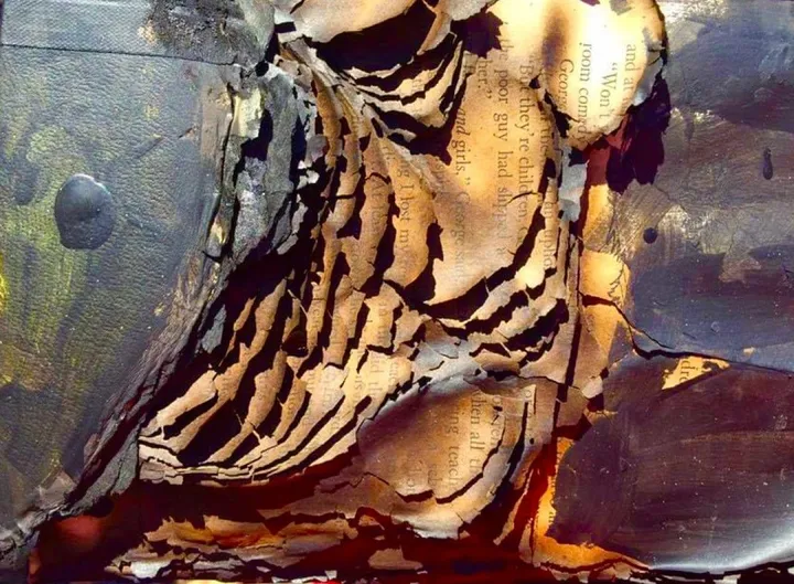 Fahrenheit 451, œuvre de Angèle Lux