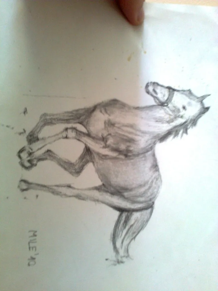 horse, œuvre de Mile Vilotijevic