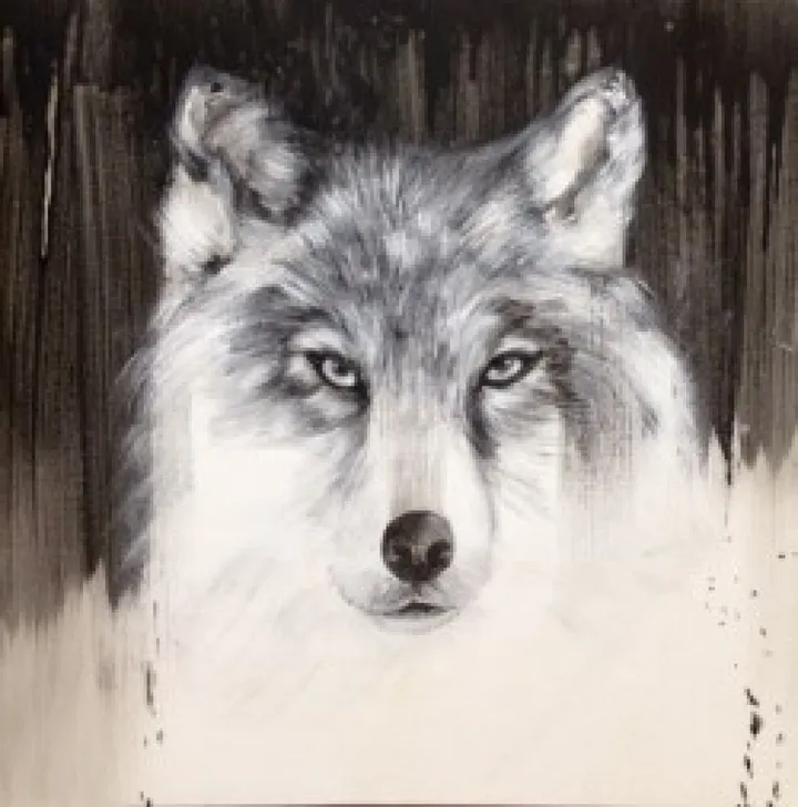 loup de face, artwork by Nadine Gauthier