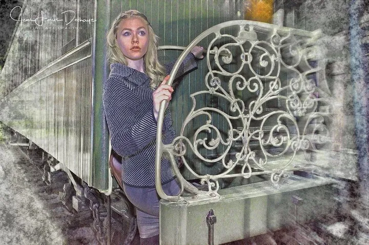 Train de nuit, artwork by Jean-Louis Delhaye