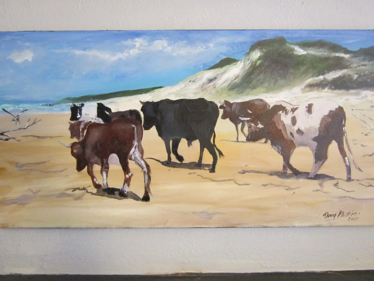 Nguni cattle, œuvre de doug phillips