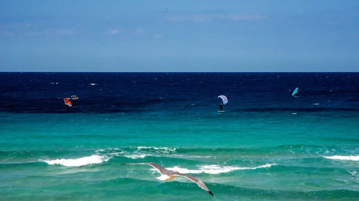 Windsurfing Ibiza, artwork by Greg Sandoval