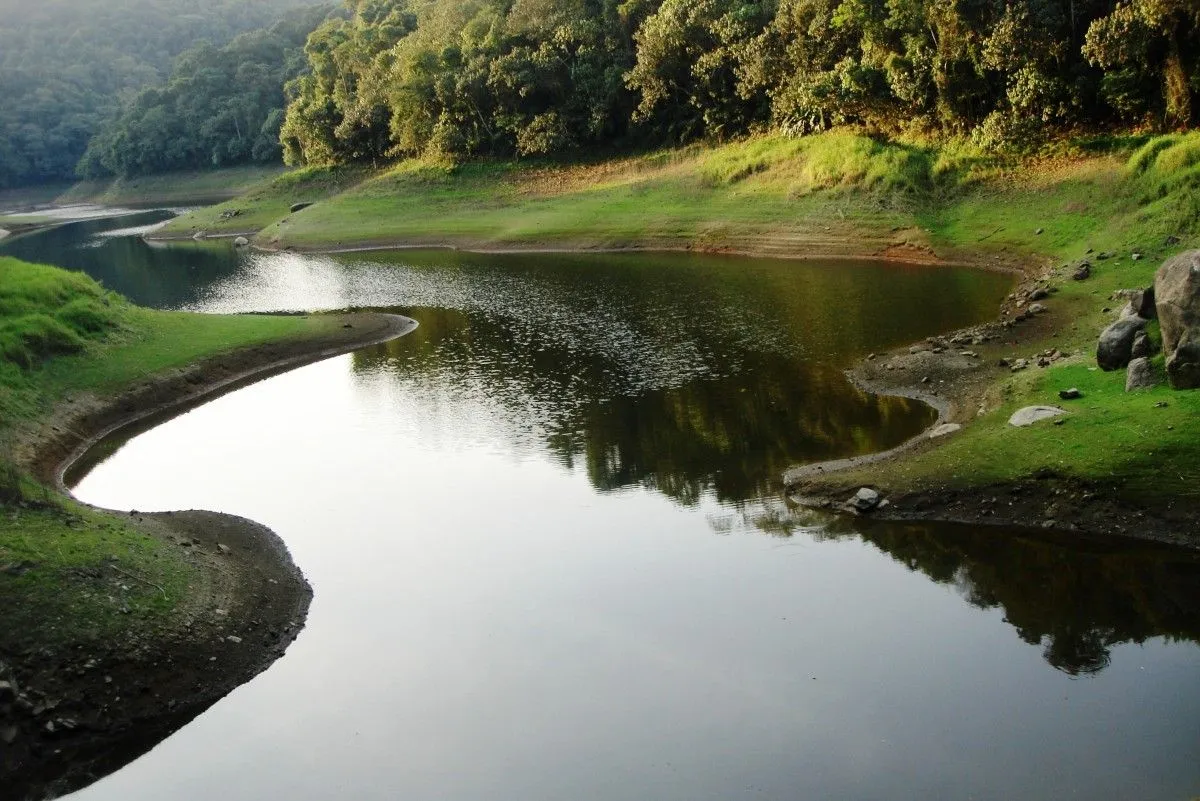 Minha PAZ - Brasil, œuvre de Malouh Gualberto