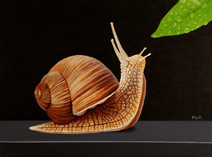 Object of Desire, artwork by Dietrich Moravec