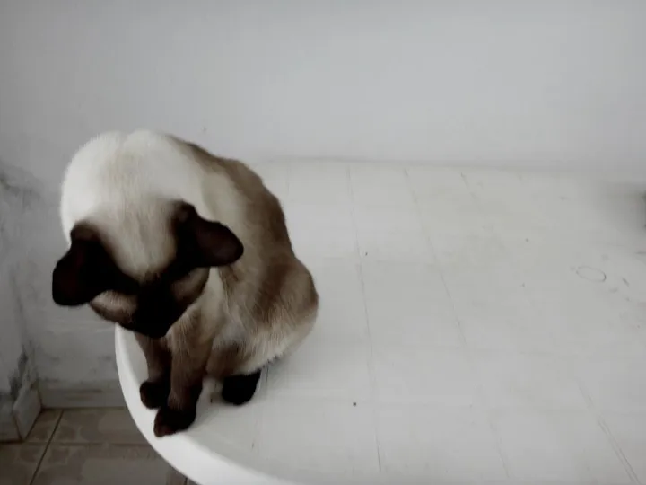 prayer, œuvre de Ioana Anagnos
